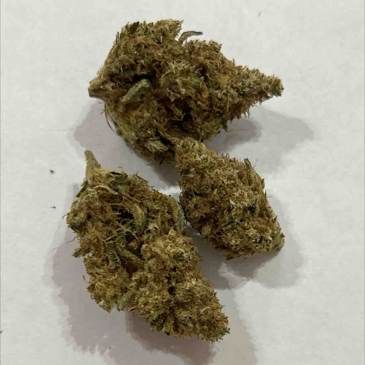 Aurora 22/1 (Delahaze)